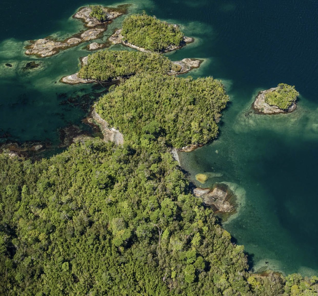 Turberas y humedales de Isla Virgen — reservorio de carbono en la Patagonia