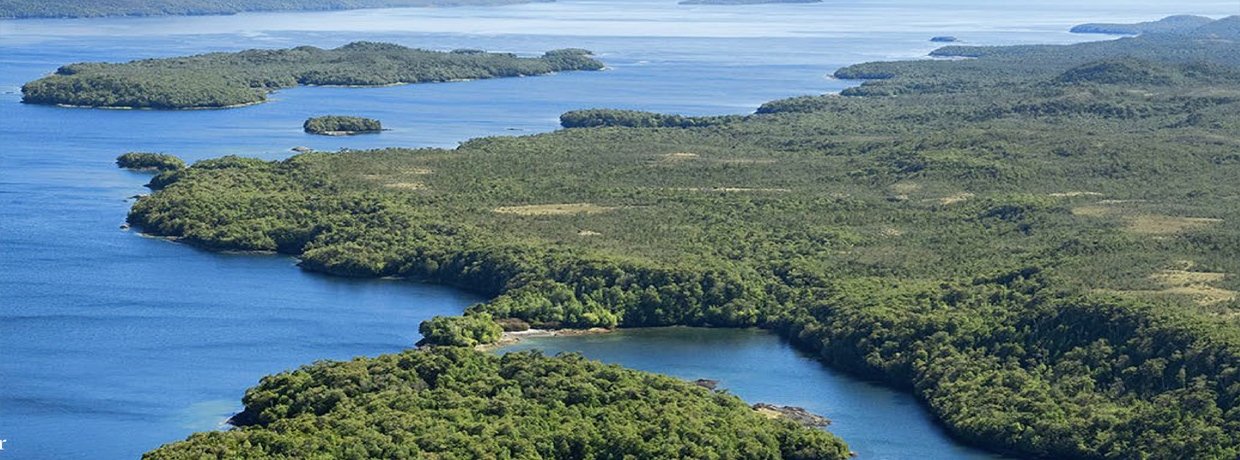 Bosques y lagunas interiores de Isla Virgen, archipiélago de Aysén Chile